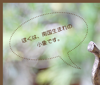 鼻をもたげた小さくてかわいい象のオブジェ。