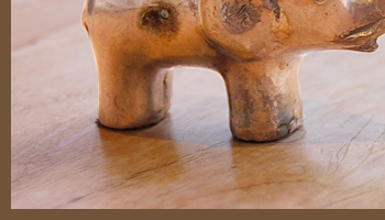 もたげた鼻はおいしい果物を採るためなのか、これから向かう方角を指しているのか、