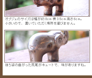 もたげた鼻はおいしい果物を採るためなのか、これから向かう方角を指しているのか、