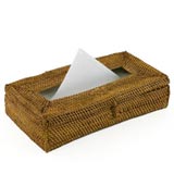 アジアンティッシュケース