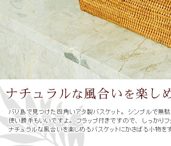 シンプルで無駄のない洗練されたデザインですので、使い勝手もいいですよ。フラップ付きなので、しっかりフタを閉じておくことも出来ます。