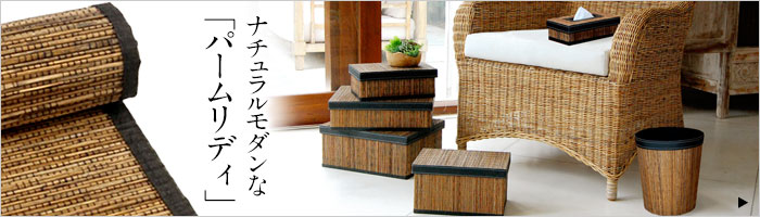 パームリディ一覧