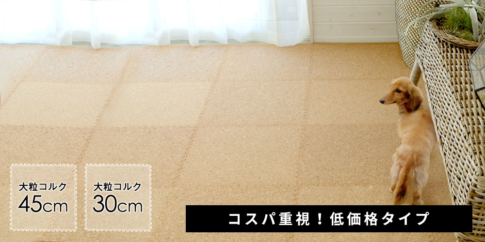 �R���N�}�b�g �G�R���N �R�X�p�d�� ���荠���i