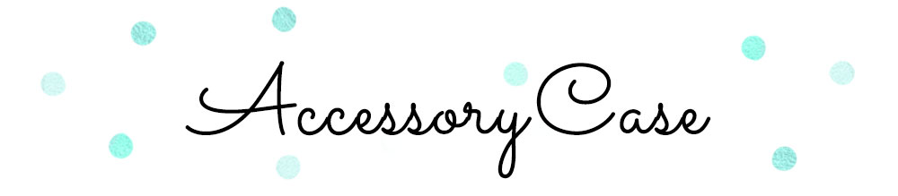 アクセサリーケース。他の使い方もいろいろある便利な小物入れ。