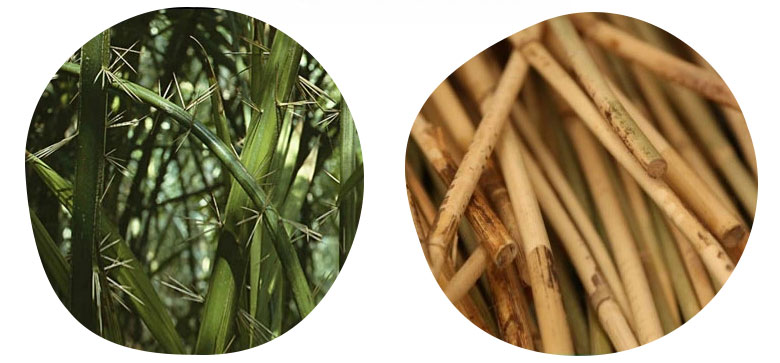 自然素材ラタンはこんな良いところがいっぱい