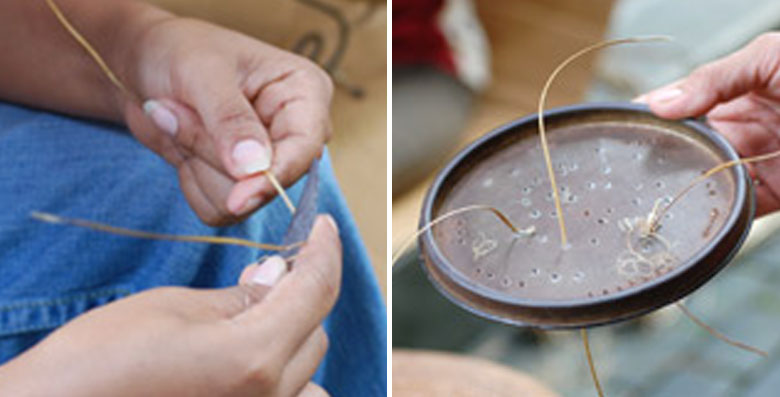 乾燥させたアタの茎を1本1本、均一の細さに整える