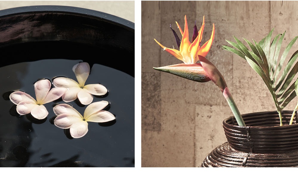 ���β֤�ꥢ��˺Ƹ����������ƥ��ե������ե�