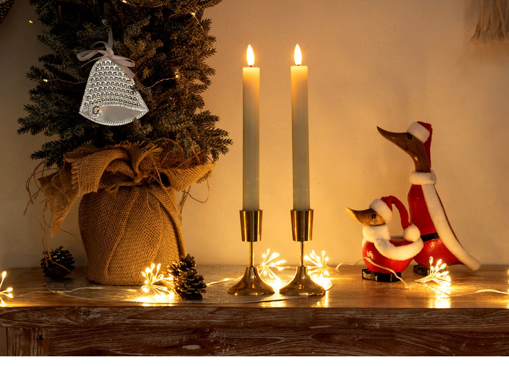 ��ӥ󥰤Υ����ǥ��͡���