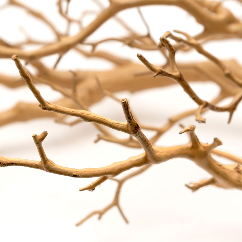 木の節や凹凸までリアルに再現。