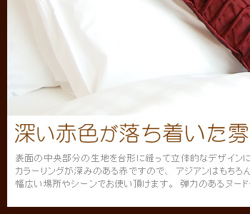 カラーリングが深みのある赤ですので、