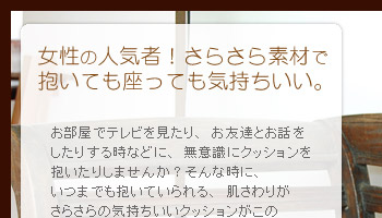 女性の人気者！さらさら素材で抱いても座っても気持ちいい。