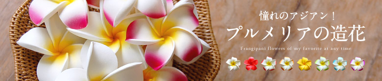 プルメリア造花はこちら