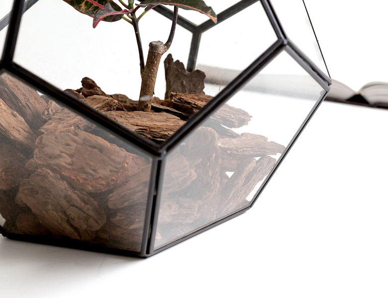 テラリウム　ガラスボックス　ガラスケース　キャンドルホルダー　容器　多面体　12面体　ディスプレイケース　小物入れ　小物収納