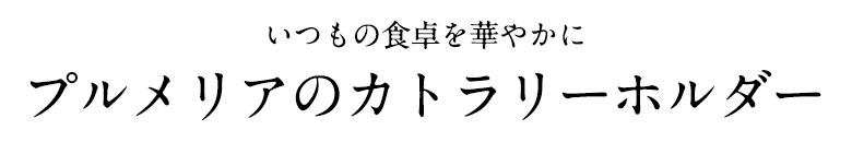 プルメリアのカトラリーホルダー