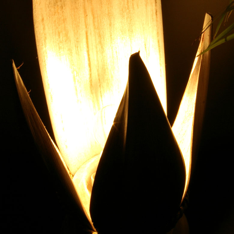 スイッチを入れるとお部屋に幻想的に包み込むような光が広がります