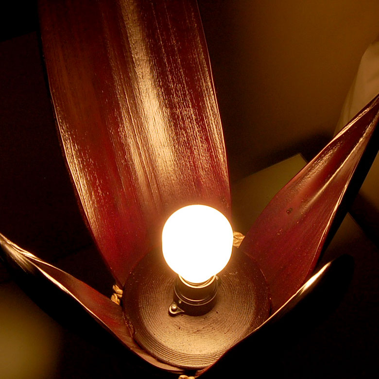 スイッチを入れるとお部屋に幻想的に包み込むような光が広がります