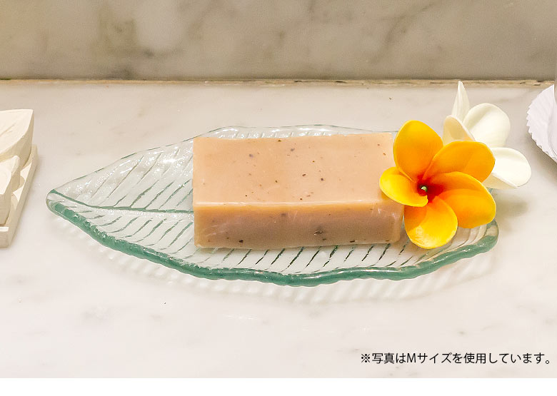 ストレリチアリーフ  皿 小皿 リーフプレート 葉っぱ トレイ ガラス皿 ガラスプレート アジアン ハワイアン バリ島