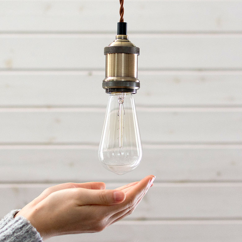 手と比べるとこの大きさ