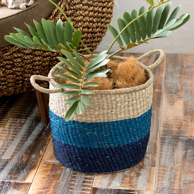 鮮やかなブルーで、リゾート感をプラス