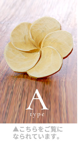 Aタイプ。こちらをご覧になられています