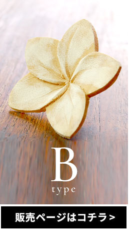 Bタイプはこちら