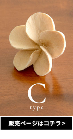 Cタイプはこちら