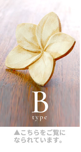 Bタイプ。こちらをご覧になられています