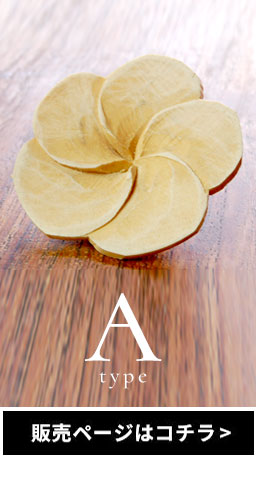 Aタイプはこちら