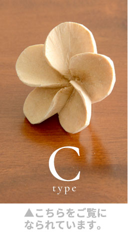 Cタイプ。こちらをご覧になられています