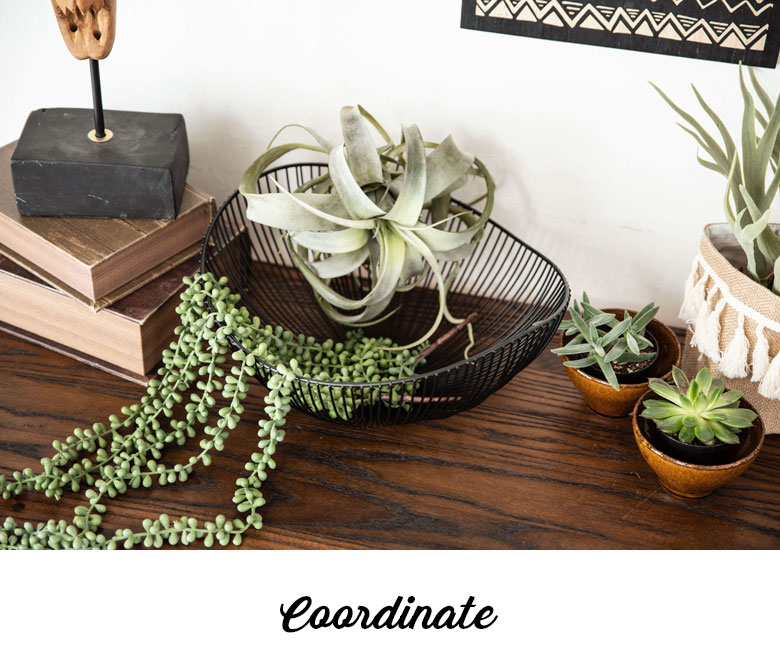 色数を抑えたおしゃれなコーディネート