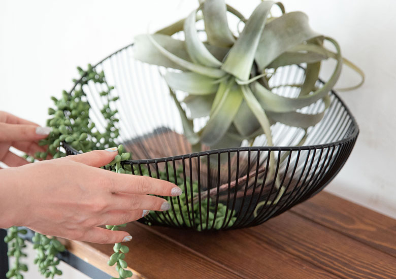 気軽にディスプレイできます。