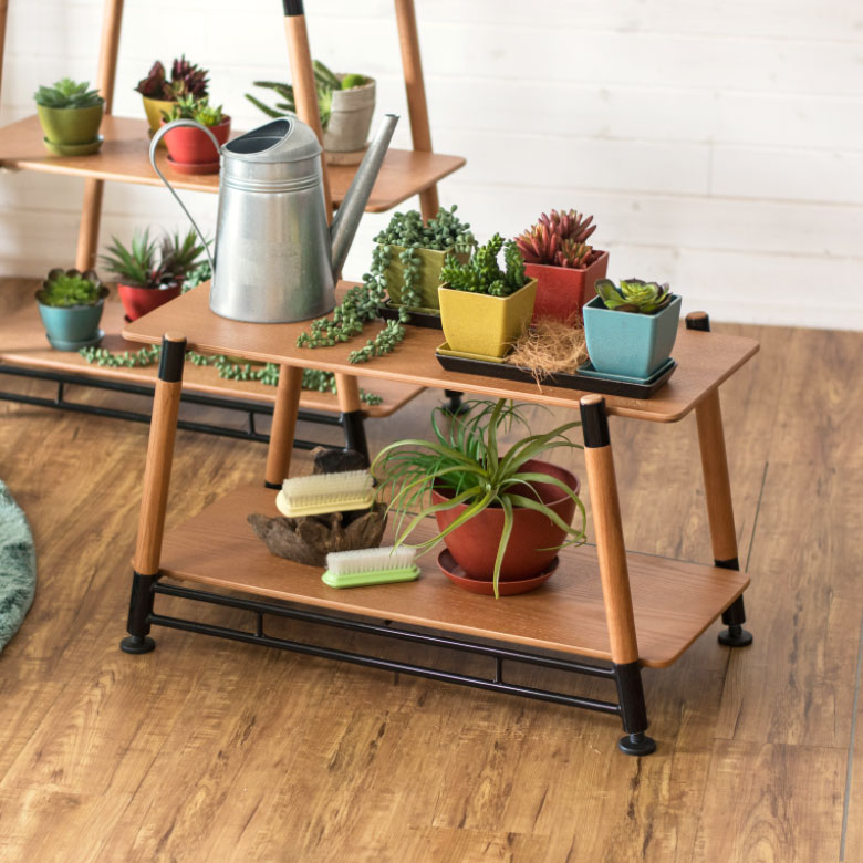 室内インテリアにもオススメ