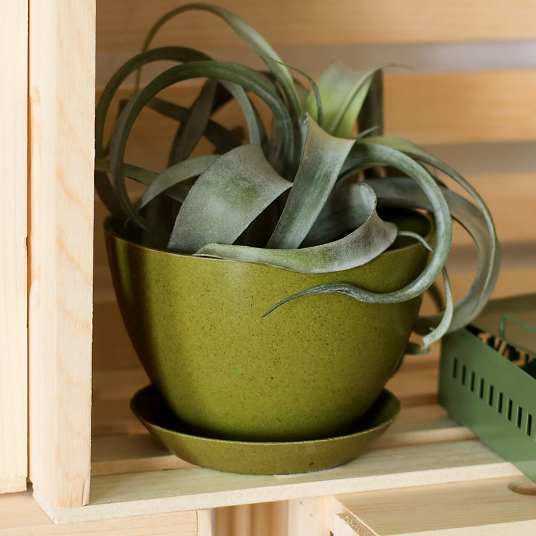 ラウンド型プランター6号サイズ