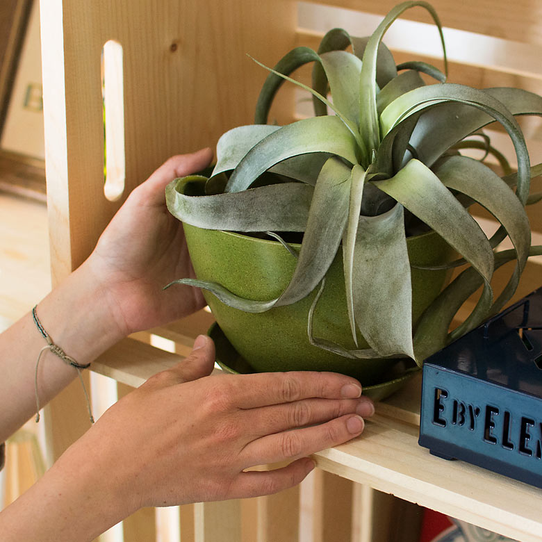 落ち着いたアースカラーが美しく、置くだけで明るい雰囲気に