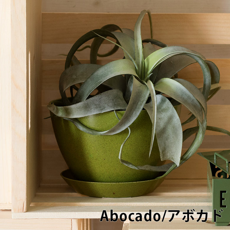 アボカドみたいなグリーン