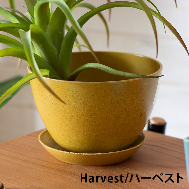 グリーンとの相性抜群なハーベスト