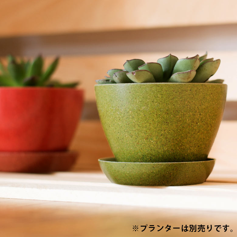 落ち着いたアースカラーが美しく、置くだけで明るい雰囲気に