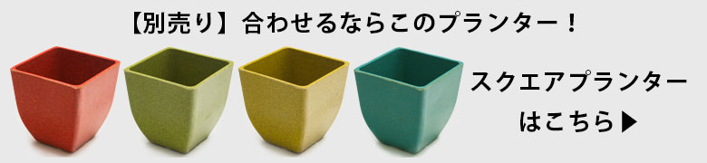 別売りのプランターはこちらから