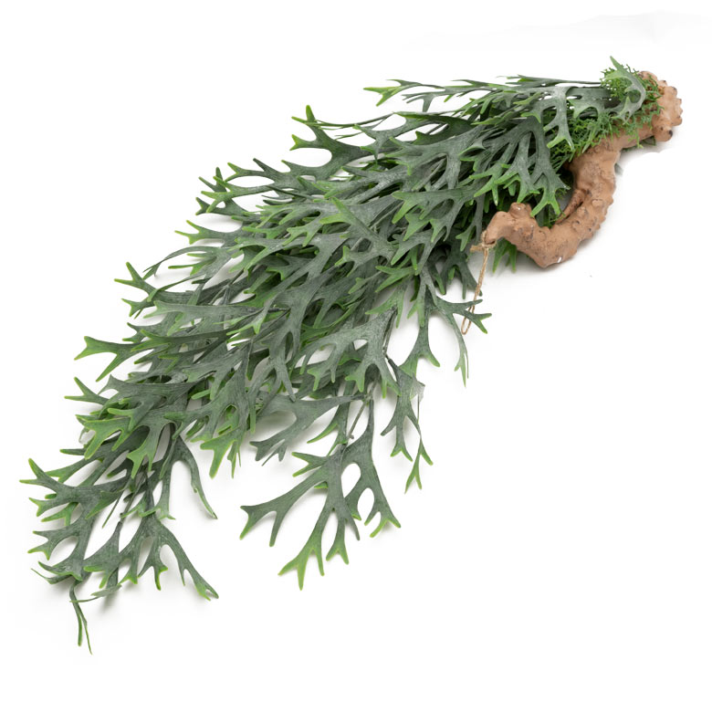 枯れない、お手入れいらず、本物そっくり