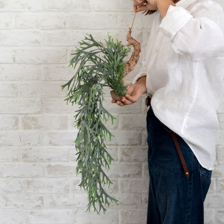 手に持つとこの大きさ