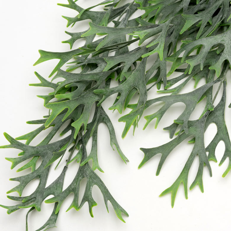 触らないとわからないようなリアルさは、本物さながら！