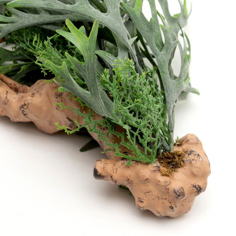 鮮やかな色彩も見事に表現