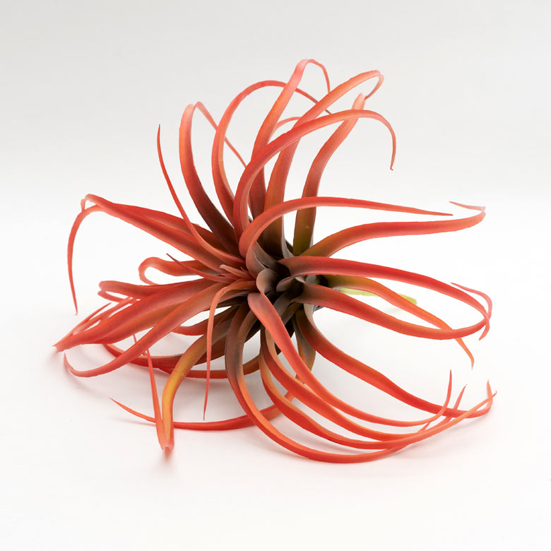 枯れない、お手入れいらず、本物そっくり