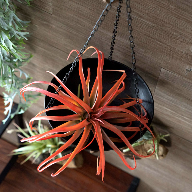 鮮やかな色彩も見事に表現