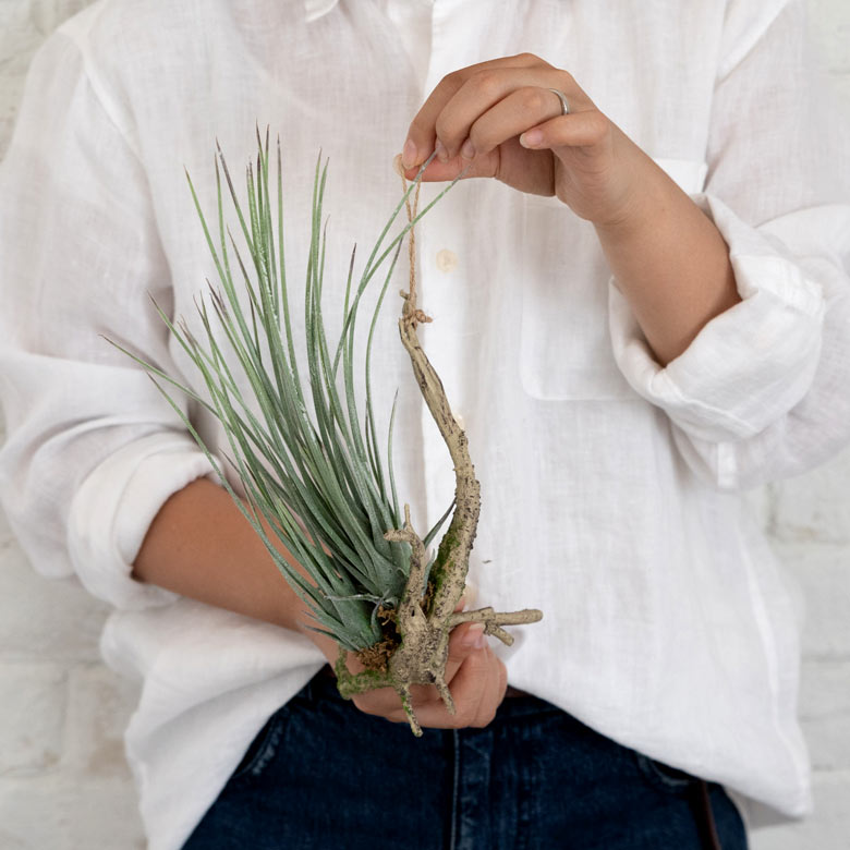 手に持つとこの大きさ