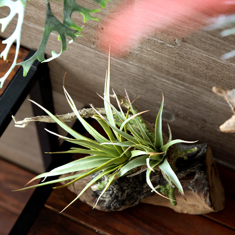 鮮やかな色彩も見事に表現