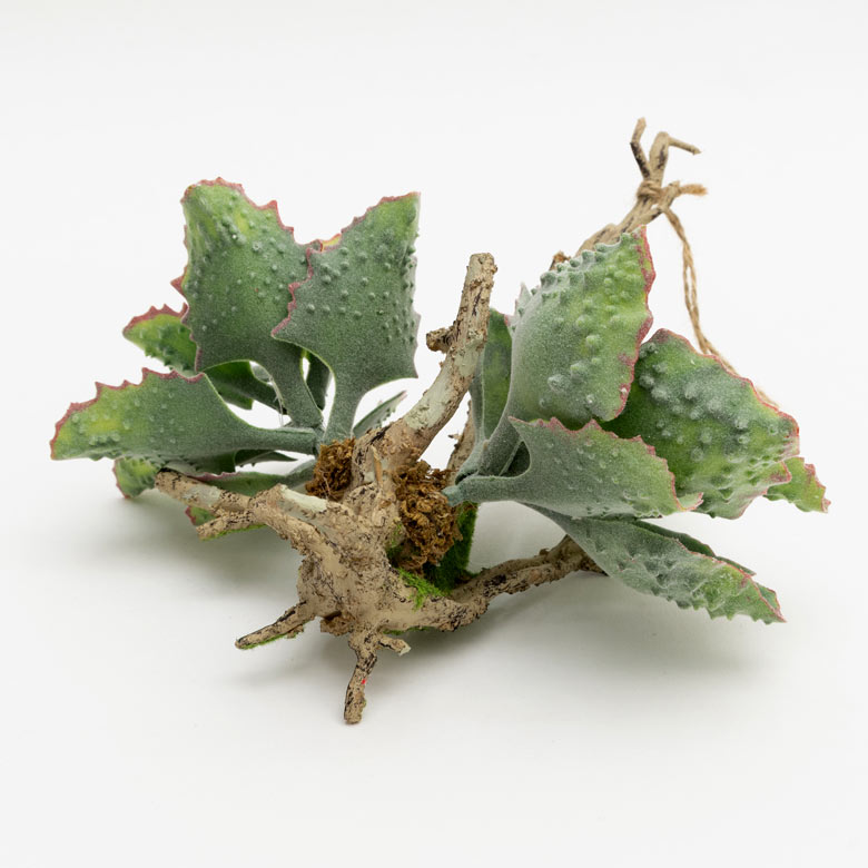 枯れない、お手入れいらず、本物そっくり