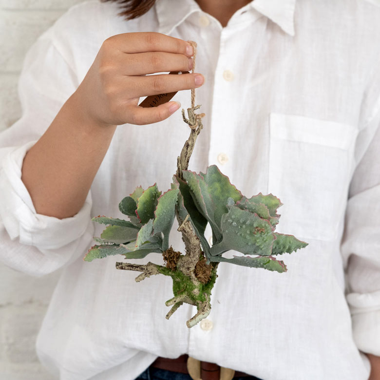 手に持つとこの大きさ