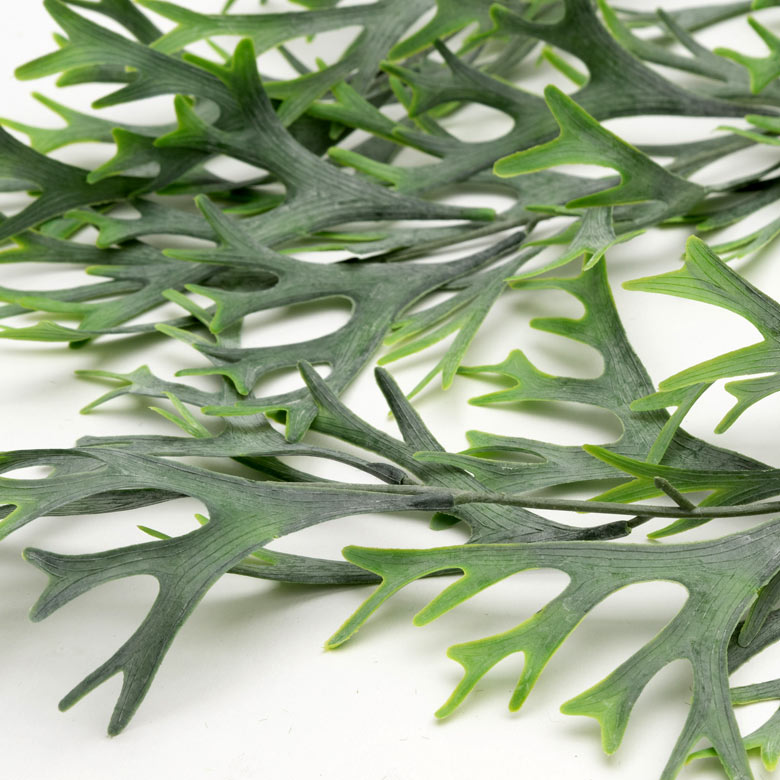 鮮やかな色彩も見事に表現