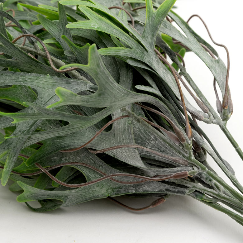 グリーンを取り入れて、癒しのあるお部屋に